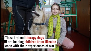 How Therapy Dogs Are Helping Ukrainian Children Heal from the Trauma of War
