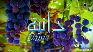 ما معنى اسم #دانية وبعض من صفات حاملة هذا الاسم على قناة معاني الاسماء #dania