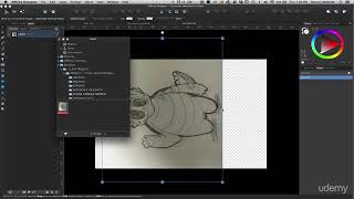 Affinity Designer: The Complete Guide to Creating Vector Art : importing your sketch
