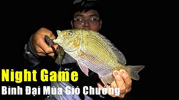 Câu Lure Cá Chẽm, Cá Tráp Ban Đêm Bình Đại Mùa Gió Chướng – Có Ăn Mạnh Hơn Ban Ngày?