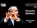 Philippe bernold  sonata in e maj bwv 1035 by j s bach