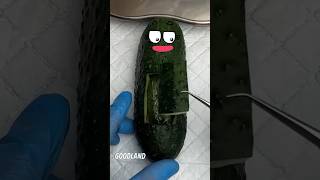 Goodland Cuber Gives Birth