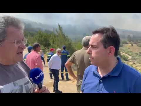 Μηταράκης: Δασοκομάντος και εναέρια μέσα κάνουν τη διαφορά στον περιορισμό της πυρκαγιάς