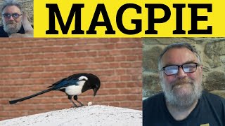 Arti Magpie - Contoh Magpie - Definisi Magpie - Bahasa Inggris Informal