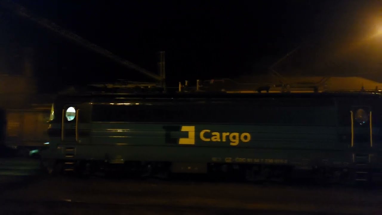 Teretni vlakovi u Hrvatskoj,Sloveniji i Mađarskoj, studeni 2020/Freight trains in Cro, Slo and Mav