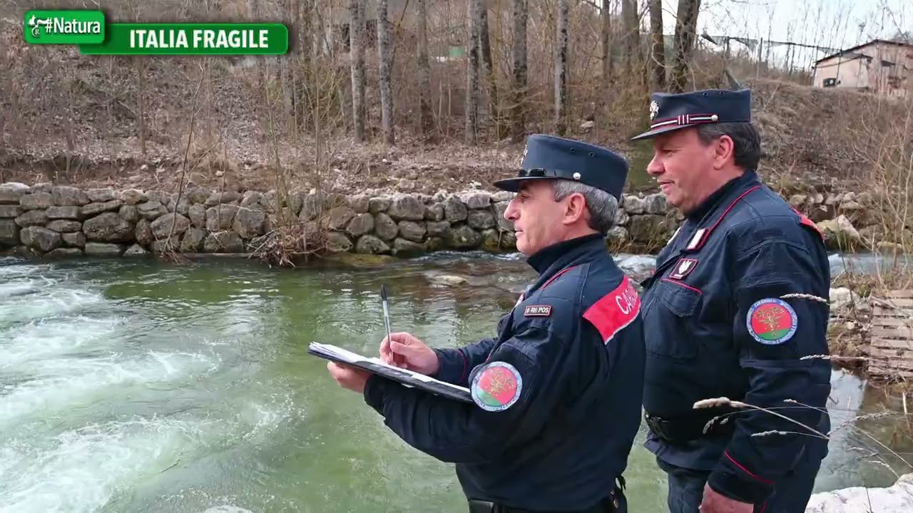 L'azione dei #Carabinieri Forestali nella prevenzione del dissesto idrogeologico in Italia