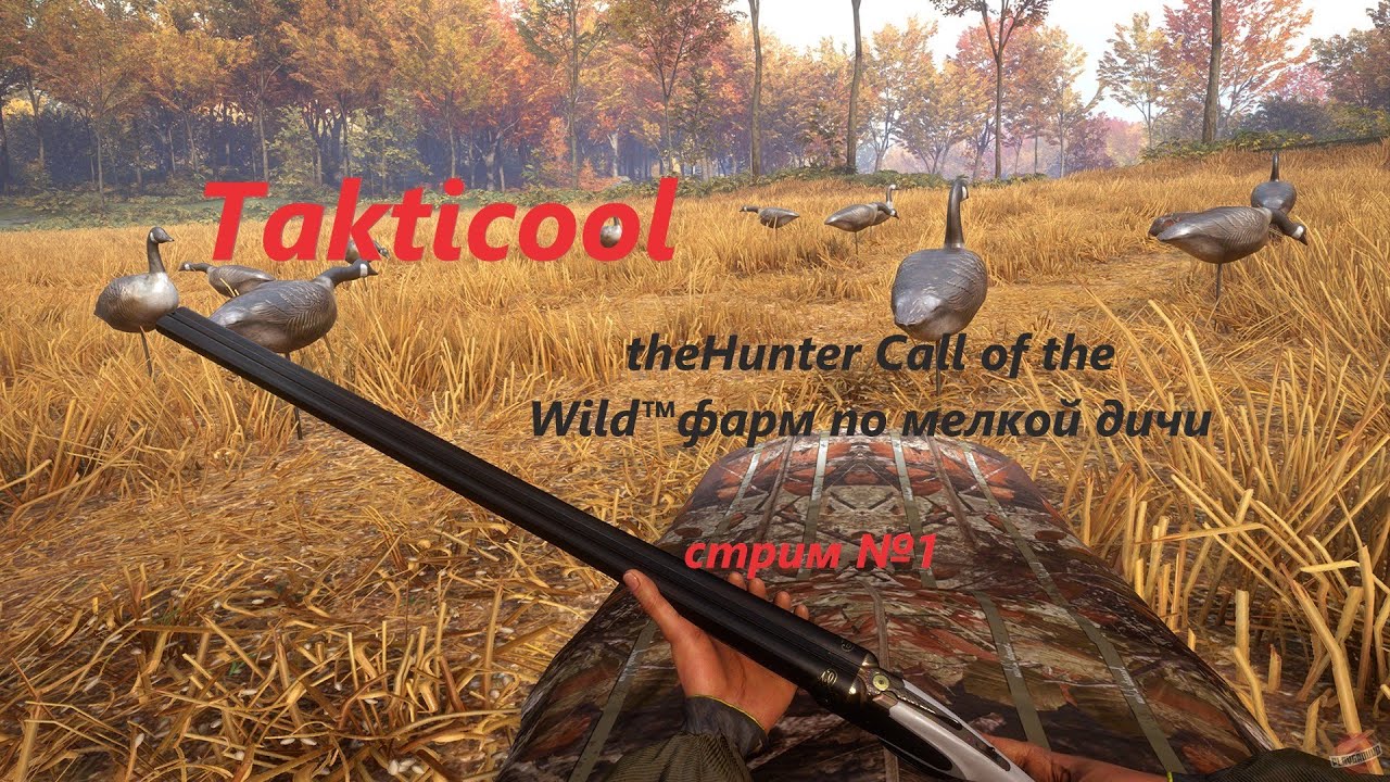 theHunter Call of the Wild™ фарм по утке и гусю - YouTube