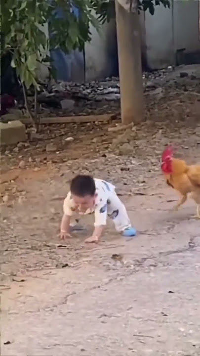 Bocil Dikejar Ayam #shortvideo #shorts #short #fypシ #shortsfeed #shortsyoutube