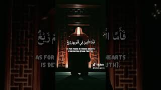 “Hearts seek clarity, but faith trusts beyond confusion.”  #islamicvideo #quotes #quran #relaxing