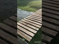 Почти Альпийские луга и ручьи