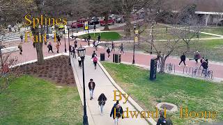 Famous Splines Part 1 Wealth