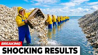 They Dumped Billions Of Oysters In Chesapeake Bay — What Grew Back 10 Years Later Is Unbelievable