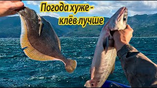 видео: Плохая погода - не помеха хорошей рыбалке! Доказано неоднократно! картинка: Плохая погода - не помеха хорошей рыбалке! Доказано неоднократно!