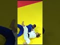 Uchi Mata Ippon Judo Japan Judo Ippon Viral Top Sport Japan