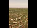 رفقنا ماهو بالهين وقت الشدايد يبين