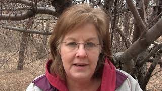 144,000 interesting info, resurrection thought & beautiful sunset & Blood moon & Snow Super moon