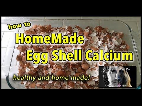 how-to-make-egg-shell-powder-for-your-dog---dog-training-and-health