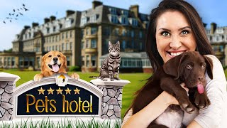 Ich teste Pets Hotel Simulator screenshot 2