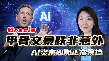 甲骨文股票暴跌，AI怎么了？为什么新加坡数据中心的Reits崛起呢？