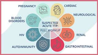 Treatment and Management of Confirmed iTTP