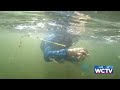 Scallop season opens Monday in eastern Big Bend