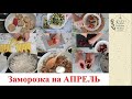 Заполняю МОРОЗИЛьную камеру! ЗАМОРОЗКА ЕДЫ на месяц! Экономлю время и деньги.