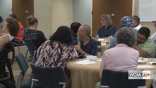 Sonya Massey Commission unveils dozens of recommendations in final report
