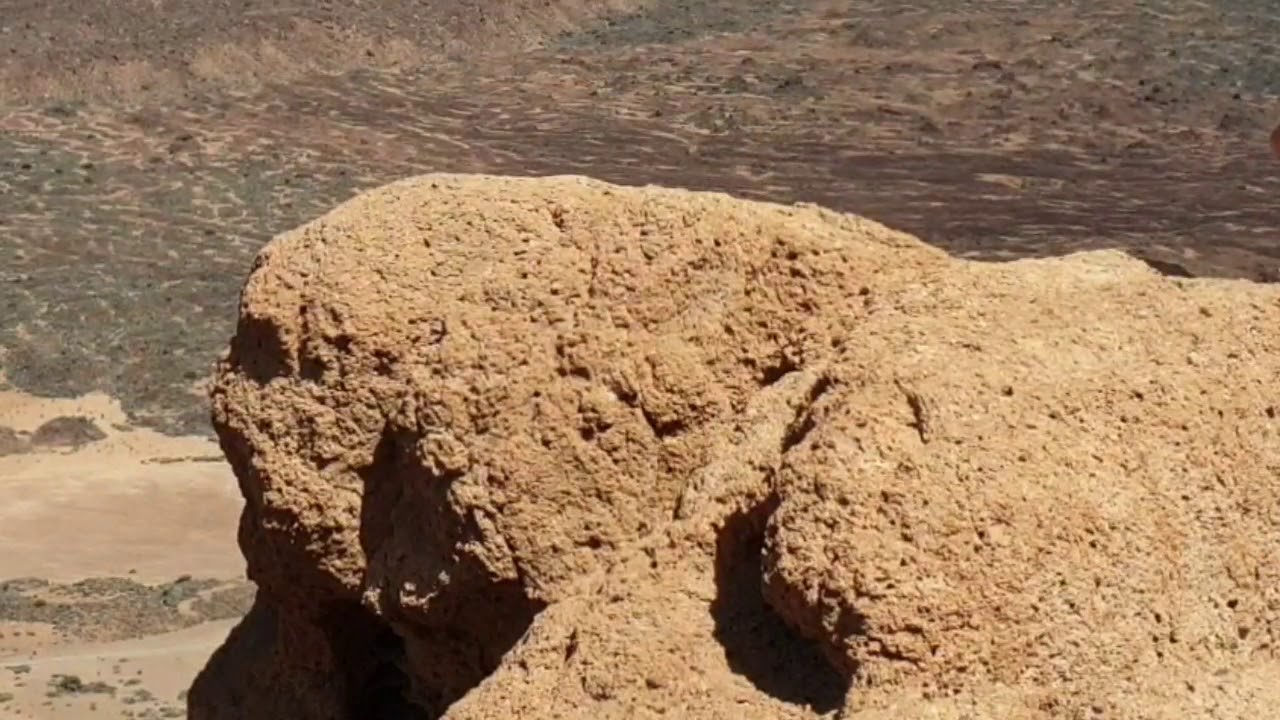 Siente la emoción de los momentos. Vivelo Caminantes de Aguere