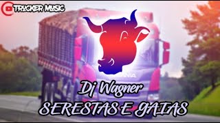 DJ WAGNER - Melhores SERESTAS E GAIAS (DOWNLOAD NA DESCRIÇÃO)