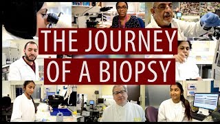 The Journey Of A Biopsy discoverpathology