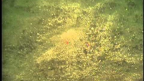 C210NC_tape9o.noaudio.mpg