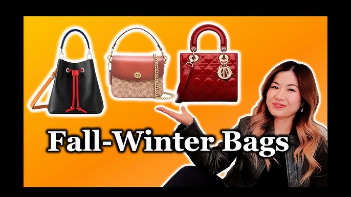 Luxury Designer Bag Investment Series: Louis Vuitton Speedy 25 Bag Review -  History, Prices 2020 • Save. Spend. Splurge.