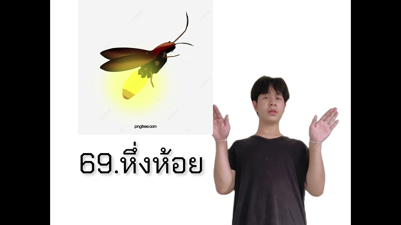 หมวดศัพท์ สัตว์ (ภาษามือไทย)