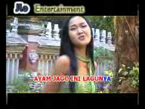 Diana - Ayam Jago.mp4