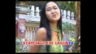 Diana - Ayam Jago.mp4