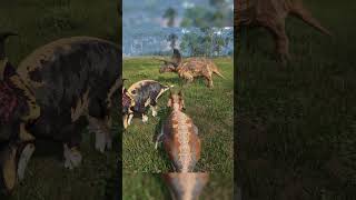 Sparing Is Cooked Again Xdd