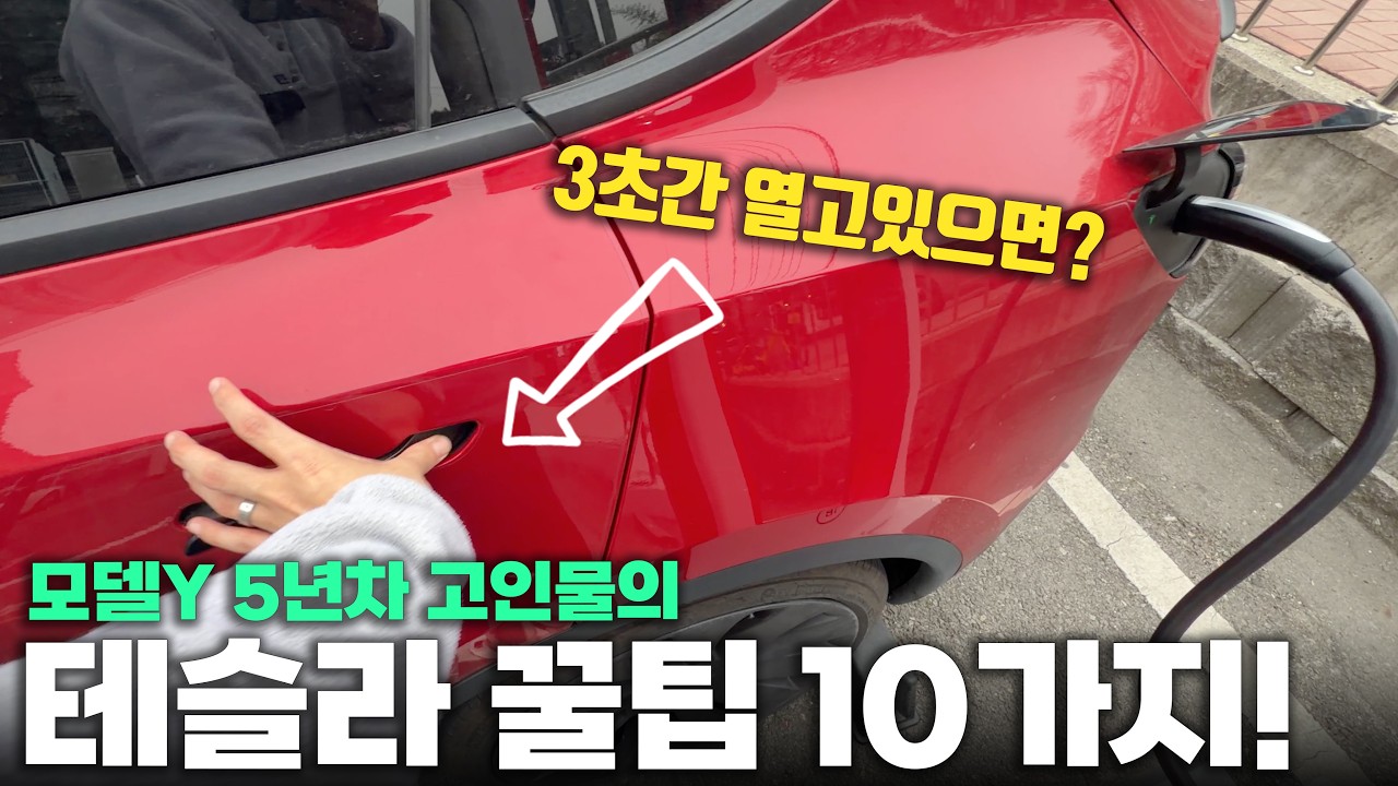 테슬라 모델 Y 5년차 오너의 꿀팁 10가지 공개! 2026 업데이트까지