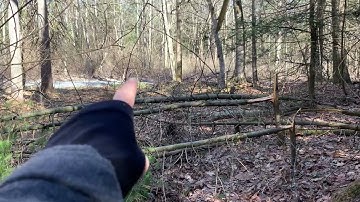 Pennsylvania Bigfoot Structures The 90 Degree Double Tree Break