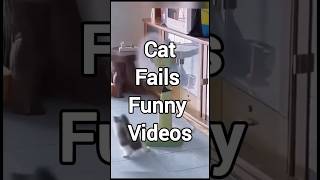 Cat fails Funny Moments #catfails #funnymoments #viralshorts #laughingvideos
