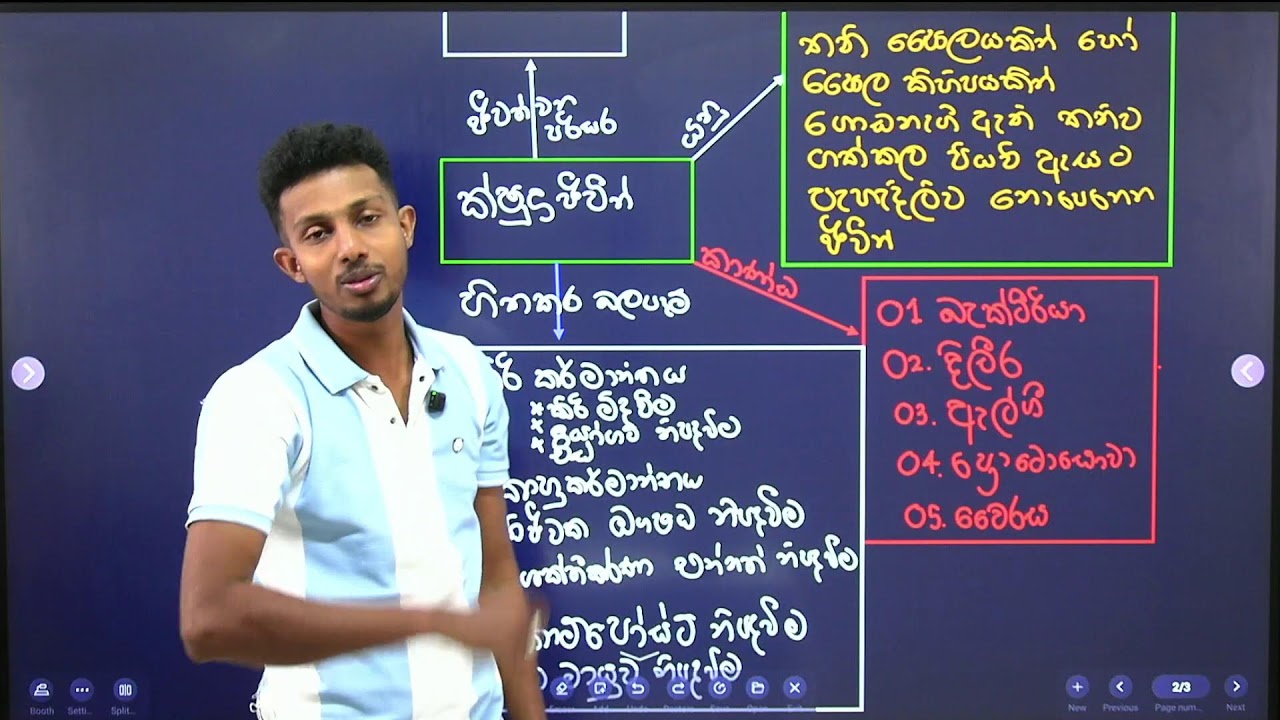 8 වසර විද්‍යාව - ක්ෂුද්‍ර ජීවීන් | Grade 8 Science Microorganisms | Lesson 01 🔬
