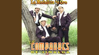 Video thumbnail of "Los Compadres De Sinaloa - El Cuervo Y El Escribano"