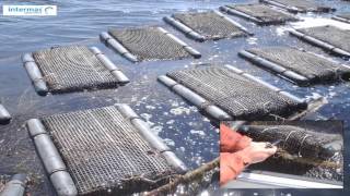 Poche Grow-Out Equipment Oyster Bags Oyster Bags