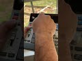 Easiest Way To Chop Samples
