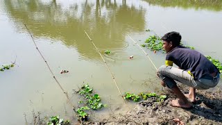 Best Hook Fishing Video | Traditional Village Fish Hunter Catching Fish By Hook In Pond