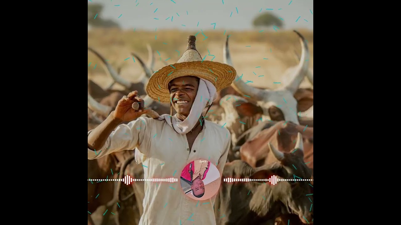 Allhaji badjounou Apees Dori 2002