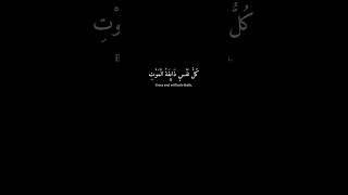 [كُل نفسٍ ذائقة الموت..] كرومات قران شاشة سوداء- سورة العنكبوت - عبدالرحمن مسعد