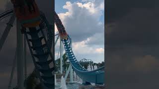 Surfs Up! #shorts #short #seaworld #orlando #florida #themepark #themeparks #rollercoaster #ride