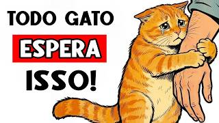 As 6 regras que o seu gato ESPERA durante TODA A SUA VIDA que você siga!