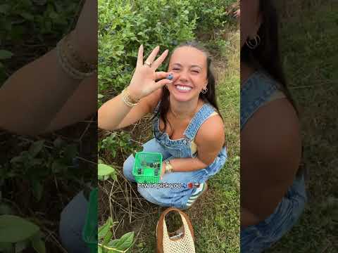 Spencer Barbosa vlog day YouTube Shorts thumbnail
