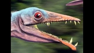 Eudimorphodon: Fish-eating Triassic Pterosaur from Northern Italy
